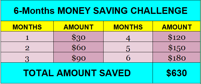 6 Months money saving challenge